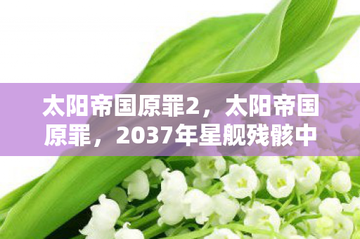 太阳帝国原罪2，太阳帝国原罪，2037年星舰残骸中的血色密码，谁在深渊低语？