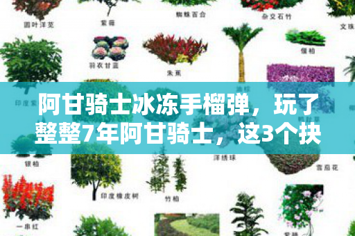 阿甘骑士冰冻手榴弹,玩了整整7年阿甘骑士,这3个抉择让我至今难以释怀! 阿甘骑士冰冻手榴弹,玩了整整7年阿甘骑士,这3个抉择让我至今难以释怀!