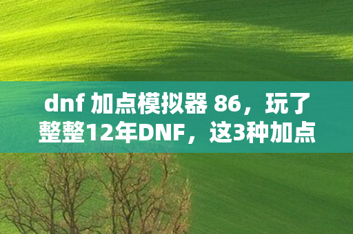 dnf 加点模拟器 86，玩了整整12年DNF，这3种加点方案让我陷入终极纠结！