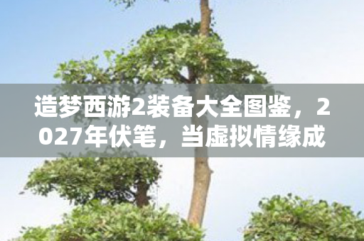 造梦西游2装备大全图鉴，2027年伏笔，当虚拟情缘成唯一长情，鼻子一酸才懂何为等你