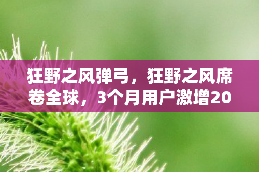 狂野之风弹弓，狂野之风席卷全球，3个月用户激增200%，游戏圈久违的非理性繁荣来了？