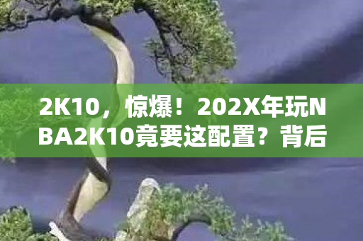 2K10,惊爆!202X年玩NBA2K10竟要这配置?背后藏着多少青春泪! 2K10,惊爆!202X年玩NBA2K10竟要这配置?背后藏着多少青春泪!