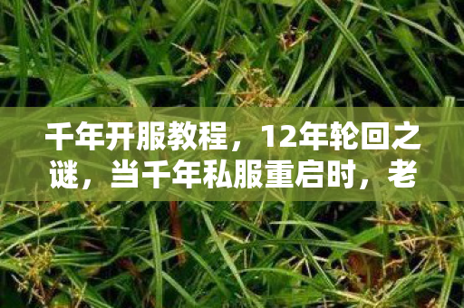 千年开服教程,12年轮回之谜,当千年私服重启时,老玩家为何集体泪目? 千年开服教程,12年轮回之谜,当千年私服重启时,老玩家为何集体泪目?