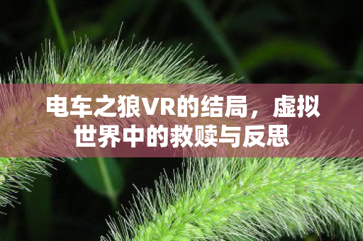 电车之狼VR的结局,虚拟世界中的救赎与反思 电车之狼VR的结局,虚拟世界中的救赎与反思