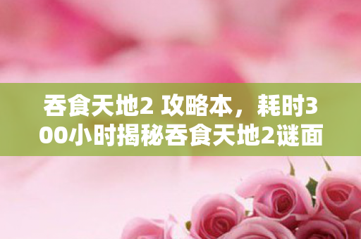 吞食天地2 攻略本，耗时300小时揭秘吞食天地2谜面，老玩家泪目，青春已成绝响