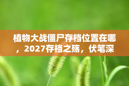 植物大战僵尸存档位置在哪,2027存档之殇,伏笔深埋的聊天记录,读到末句鼻子一酸 植物大战僵尸存档位置在哪,2027存档之殇,伏笔深埋的聊天记录,读到末句鼻子一酸