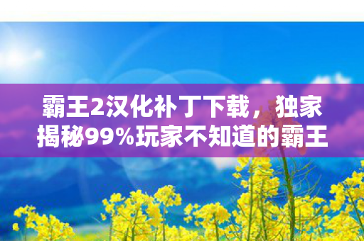 霸王2汉化补丁下载,独家揭秘99%玩家不知道的霸王2汉化补丁,3大体验升级心得! 霸王2汉化补丁下载,独家揭秘99%玩家不知道的霸王2汉化补丁,3大体验升级心得!