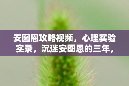 安图恩攻略视频,心理实验实录,沉迷安图恩的三年,细思极恐的自我囚禁 安图恩攻略视频,心理实验实录,沉迷安图恩的三年,细思极恐的自我囚禁