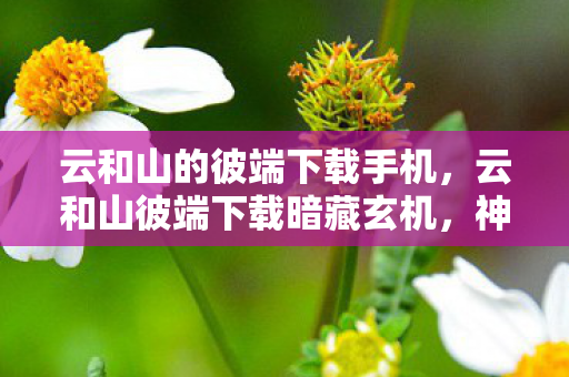 云和山的彼端下载手机,云和山彼端下载暗藏玄机,神秘代码成悬案,毛骨悚然真相待揭! 云和山的彼端下载手机,云和山彼端下载暗藏玄机,神秘代码成悬案,毛骨悚然真相待揭!