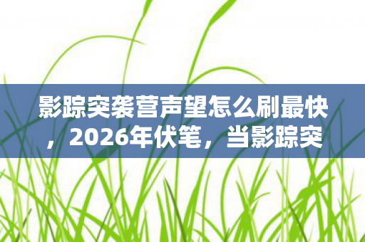影踪突袭营声望怎么刷最快，2026年伏笔，当影踪突袭营声望刷满时，我的鼻子一酸，故事却未完