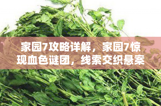 家园7攻略详解,家园7惊现血色谜团,线索交织悬案起,毛骨悚然真相近 家园7攻略详解,家园7惊现血色谜团,线索交织悬案起,毛骨悚然真相近