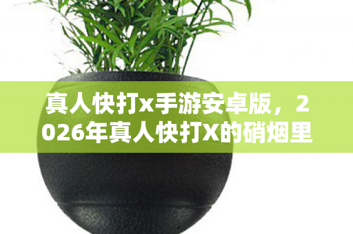 真人快打x手游安卓版,2026年真人快打X的硝烟里,藏着未拆封的约定,鼻子一酸谁还在? 真人快打x手游安卓版,2026年真人快打X的硝烟里,藏着未拆封的约定,鼻子一酸谁还在?