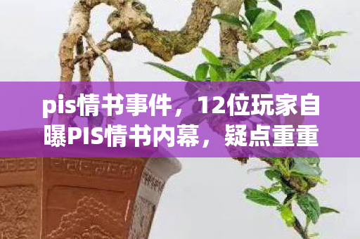 pis情书事件,12位玩家自曝PIS情书内幕,疑点重重竟让采访者当场绷不住? pis情书事件,12位玩家自曝PIS情书内幕,疑点重重竟让采访者当场绷不住?