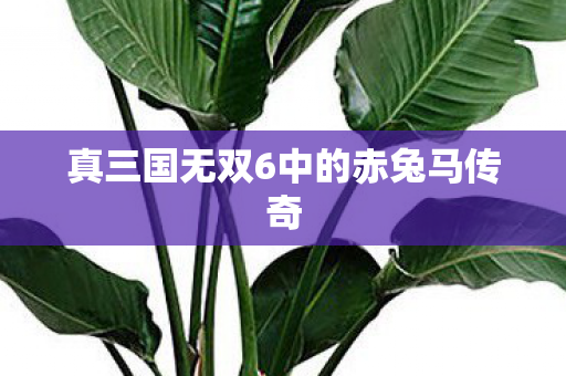 真三国无双6中的赤兔马传奇