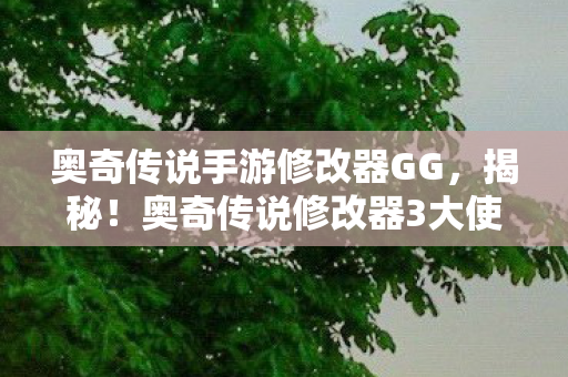 奥奇传说手游修改器GG,揭秘!奥奇传说修改器3大使用心得+避坑指南,助你少走弯路! 奥奇传说手游修改器GG,揭秘!奥奇传说修改器3大使用心得+避坑指南,助你少走弯路!