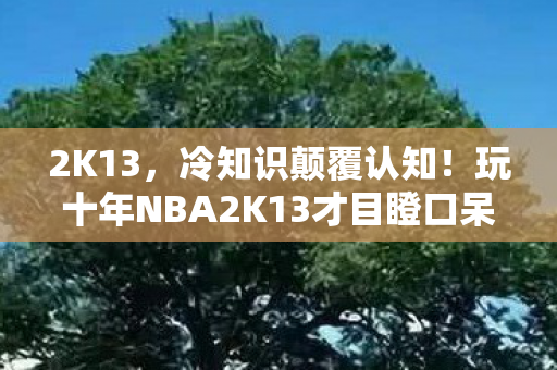 2K13,冷知识颠覆认知!玩十年NBA2K13才目瞪口呆,我竟从未真正启动过? 2K13,冷知识颠覆认知!玩十年NBA2K13才目瞪口呆,我竟从未真正启动过?