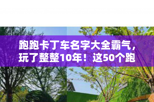 跑跑卡丁车名字大全霸气，玩了整整10年！这50个跑跑卡丁车名字，选哪个才能不撞墙又超神？