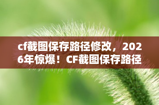 cf截图保存路径修改，2026年惊爆！CF截图保存路径竟藏着如此让人心跳的秘密？