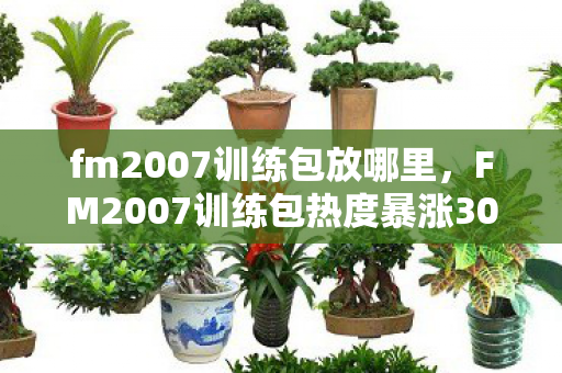 fm2007训练包放哪里,FM2007训练包热度暴涨300%背后,资本疑云密布,玩家心寒真相几何? fm2007训练包放哪里,FM2007训练包热度暴涨300%背后,资本疑云密布,玩家心寒真相几何?