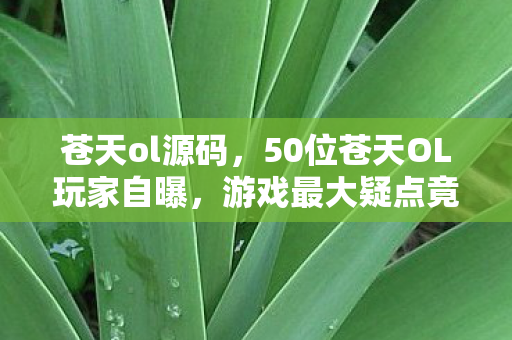 苍天ol源码,50位苍天OL玩家自曝,游戏最大疑点竟让大神也绷不住? 苍天ol源码,50位苍天OL玩家自曝,游戏最大疑点竟让大神也绷不住?