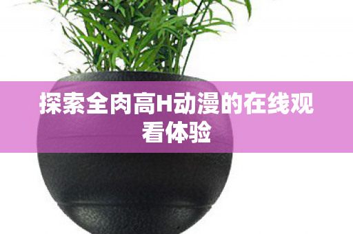 探索全肉高H动漫的在线观看体验