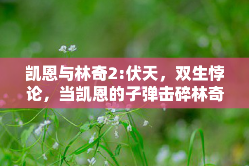 凯恩与林奇2:伏天,双生悖论,当凯恩的子弹击碎林奇的灵魂,自由竟是场存在主义骗局? 凯恩与林奇2:伏天,双生悖论,当凯恩的子弹击碎林奇的灵魂,自由竟是场存在主义骗局?