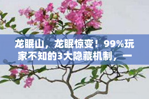 龙眠山,龙眠惊变!99%玩家不知的3大隐藏机制,一夜逆袭成神竟如此简单? 龙眠山,龙眠惊变!99%玩家不知的3大隐藏机制,一夜逆袭成神竟如此简单?