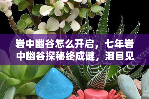 岩中幽谷怎么开启,七年岩中幽谷探秘终成谜,泪目见证游戏落幕时 岩中幽谷怎么开启,七年岩中幽谷探秘终成谜,泪目见证游戏落幕时