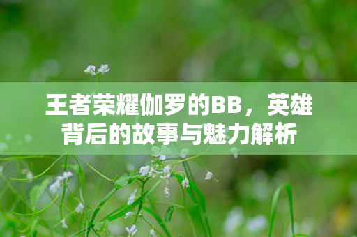 王者荣耀伽罗的BB，英雄背后的故事与魅力解析