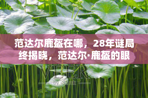 范达尔鹿盔在哪，28年谜局终揭晓，范达尔·鹿盔的眼泪为何让百万玩家泪目？