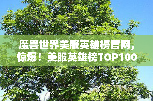 魔兽世界美服英雄榜官网,惊爆!美服英雄榜TOP100,这3大职业竟狂揽78席,爽玩体验拉满! 魔兽世界美服英雄榜官网,惊爆!美服英雄榜TOP100,这3大职业竟狂揽78席,爽玩体验拉满!