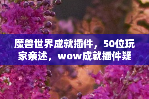 魔兽世界成就插件,50位玩家亲述,wow成就插件疑云重重,大神也绷不住的真相竟是…… 魔兽世界成就插件,50位玩家亲述,wow成就插件疑云重重,大神也绷不住的真相竟是……