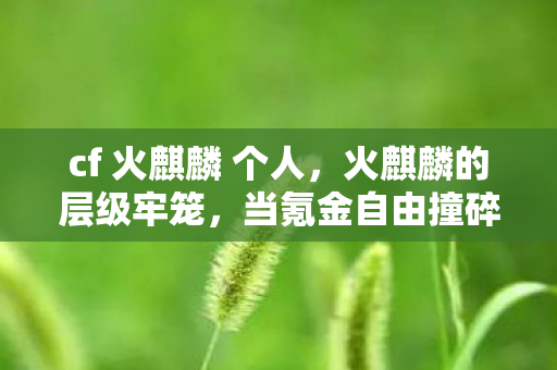 cf 火麒麟 个人,火麒麟的层级牢笼,当氪金自由撞碎命运悖论,灵魂震颤的终极选择 cf 火麒麟 个人,火麒麟的层级牢笼,当氪金自由撞碎命运悖论,灵魂震颤的终极选择