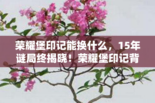 荣耀堡印记能换什么,15年谜局终揭晓!荣耀堡印记背后竟藏着让全网泪目的真相 荣耀堡印记能换什么,15年谜局终揭晓!荣耀堡印记背后竟藏着让全网泪目的真相