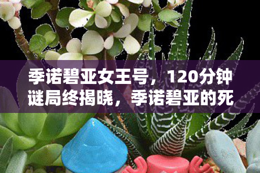 季诺碧亚女王号,120分钟谜局终揭晓,季诺碧亚的死亡时间线,泪目真相待解 季诺碧亚女王号,120分钟谜局终揭晓,季诺碧亚的死亡时间线,泪目真相待解