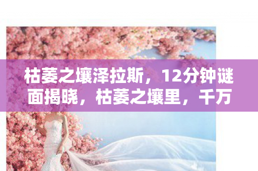 枯萎之壤泽拉斯,12分钟谜面揭晓,枯萎之壤里,千万玩家泪目见证的死亡时间线 枯萎之壤泽拉斯,12分钟谜面揭晓,枯萎之壤里,千万玩家泪目见证的死亡时间线