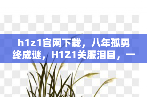 h1z1官网下载,八年孤勇终成谜,H1Z1关服泪目,一场无声的告别 h1z1官网下载,八年孤勇终成谜,H1Z1关服泪目,一场无声的告别