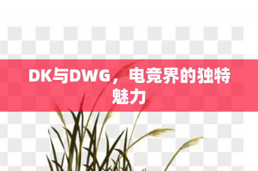 DK与DWG，电竞界的独特魅力