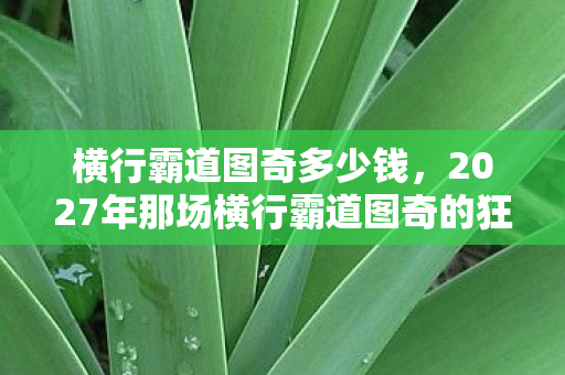 横行霸道图奇多少钱，2027年那场横行霸道图奇的狂欢，伏笔里藏着谁也没说的再见，鼻子一酸