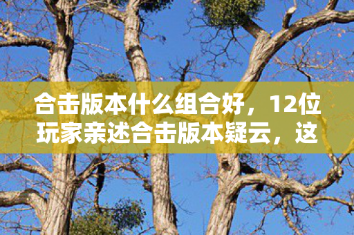 合击版本什么组合好，12位玩家亲述合击版本疑云，这设定是来搞笑的？我直接绷不住了！