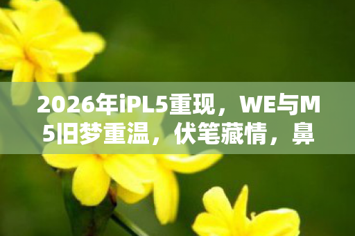 2026年iPL5重现,WE与M5旧梦重温,伏笔藏情,鼻子一酸忆往昔 2026年iPL5重现,WE与M5旧梦重温,伏笔藏情,鼻子一酸忆往昔