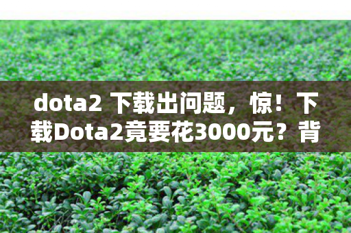 dota2 下载出问题，惊！下载Dota2竟要花3000元？背后隐情让你吓一跳！