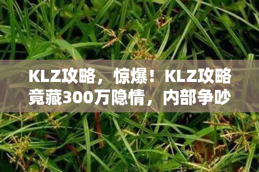 KLZ攻略，惊爆！KLZ攻略竟藏300万隐情，内部争吵细节曝光，吓一跳！