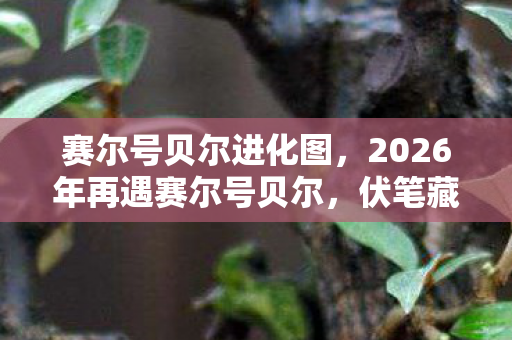 赛尔号贝尔进化图，2026年再遇赛尔号贝尔，伏笔藏了十五年，鼻子一酸想起你