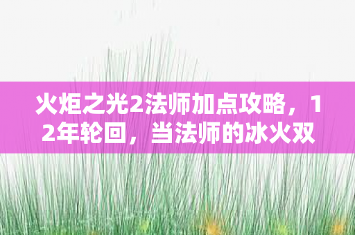 火炬之光2法师加点攻略，12年轮回，当法师的冰火双修成为绝响，这个秘密让百万玩家泪目