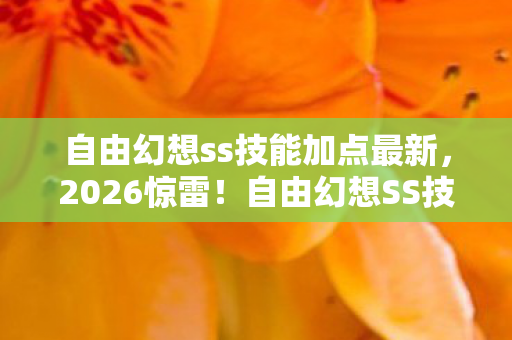 自由幻想ss技能加点最新，2026惊雷！自由幻想SS技能加点背后，竟藏着鼻子一酸的旧情伏笔