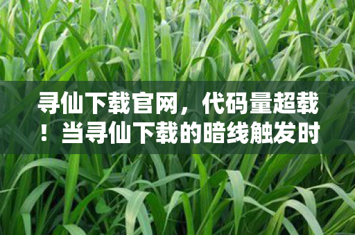 寻仙下载官网,代码量超载!当寻仙下载的暗线触发时,你的神经末梢正在头皮发麻 寻仙下载官网,代码量超载!当寻仙下载的暗线触发时,你的神经末梢正在头皮发麻