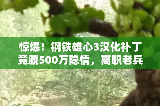 惊爆!钢铁雄心3汉化补丁竟藏500万隐情,离职老兵掀桌抖内幕! 惊爆!钢铁雄心3汉化补丁竟藏500万隐情,离职老兵掀桌抖内幕!