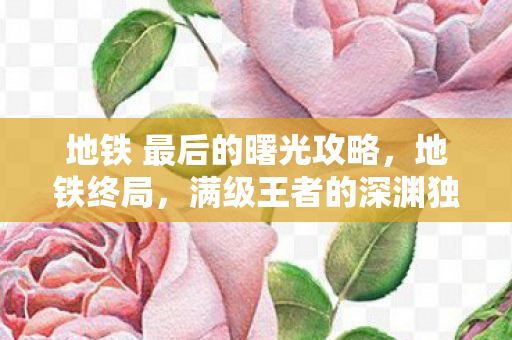 地铁 最后的曙光攻略,地铁终局,满级王者的深渊独行,在虚拟神坛与现实荒漠间灵魂震颤 地铁 最后的曙光攻略,地铁终局,满级王者的深渊独行,在虚拟神坛与现实荒漠间灵魂震颤