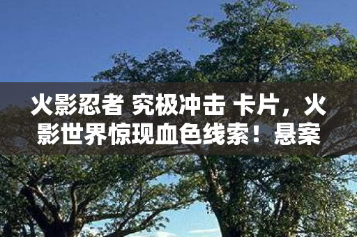 火影忍者 究极冲击 卡片,火影世界惊现血色线索!悬案未解,毛骨悚然之谜困我十年 火影忍者 究极冲击 卡片,火影世界惊现血色线索!悬案未解,毛骨悚然之谜困我十年